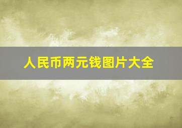 人民币两元钱图片大全