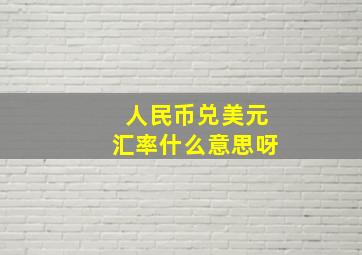 人民币兑美元汇率什么意思呀