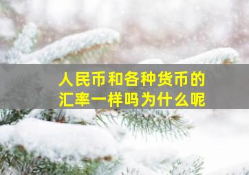 人民币和各种货币的汇率一样吗为什么呢