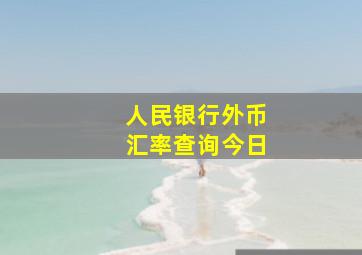 人民银行外币汇率查询今日