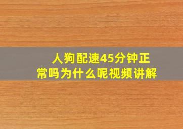 人狗配速45分钟正常吗为什么呢视频讲解