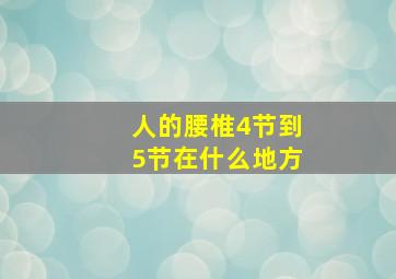 人的腰椎4节到5节在什么地方