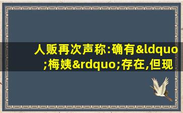 人贩再次声称:确有“梅姨”存在,但现有画像都不像