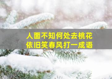 人面不知何处去桃花依旧笑春风打一成语