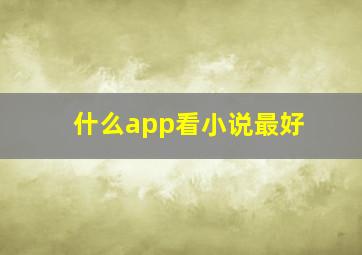 什么app看小说最好