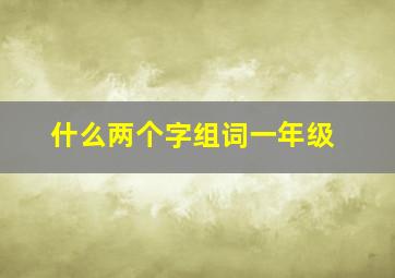 什么两个字组词一年级