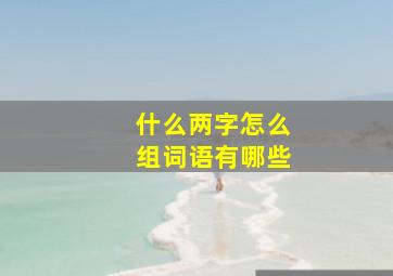 什么两字怎么组词语有哪些