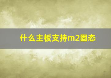 什么主板支持m2固态