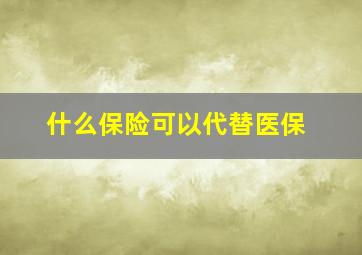 什么保险可以代替医保