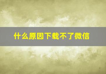 什么原因下载不了微信