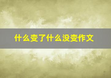 什么变了什么没变作文