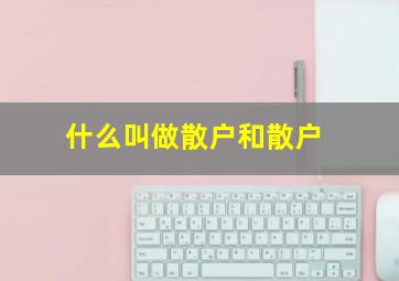 什么叫做散户和散户