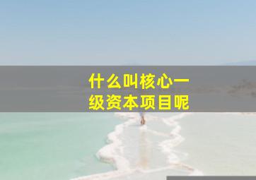 什么叫核心一级资本项目呢