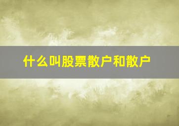 什么叫股票散户和散户