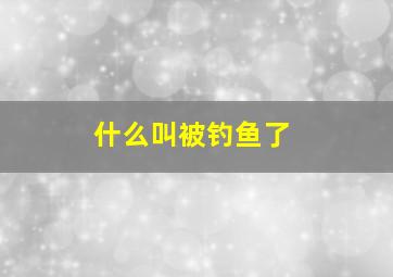 什么叫被钓鱼了