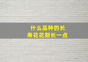 什么品种的长寿花花期长一点