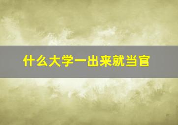 什么大学一出来就当官