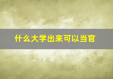 什么大学出来可以当官