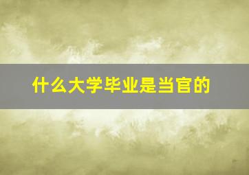 什么大学毕业是当官的