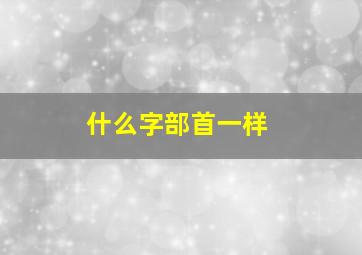 什么字部首一样