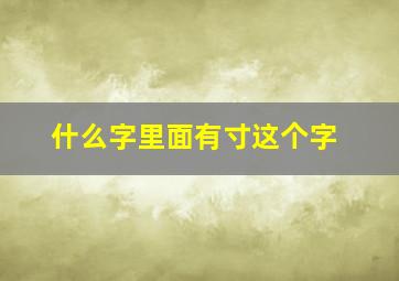 什么字里面有寸这个字