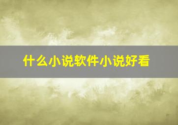 什么小说软件小说好看