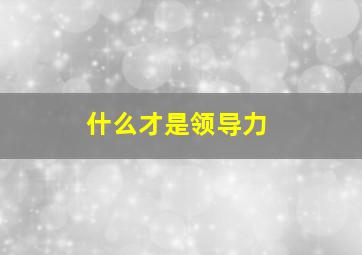 什么才是领导力