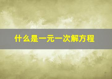 什么是一元一次解方程