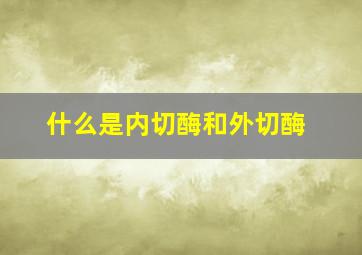 什么是内切酶和外切酶