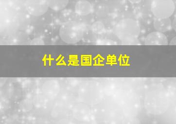 什么是国企单位