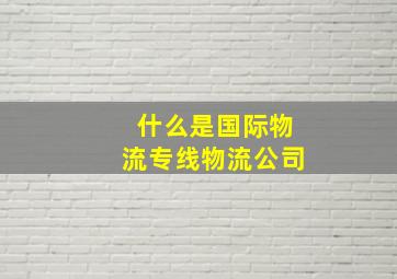 什么是国际物流专线物流公司