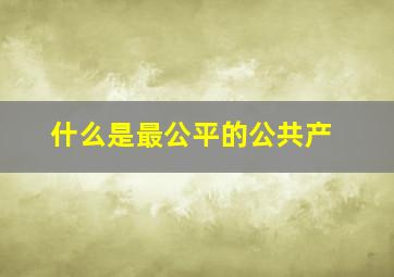 什么是最公平的公共产