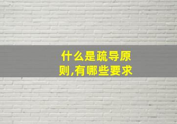 什么是疏导原则,有哪些要求