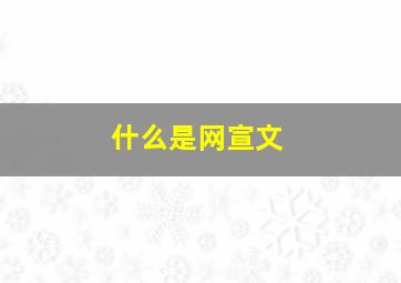 什么是网宣文