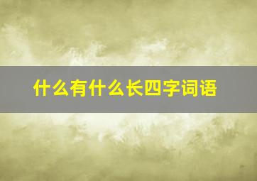 什么有什么长四字词语