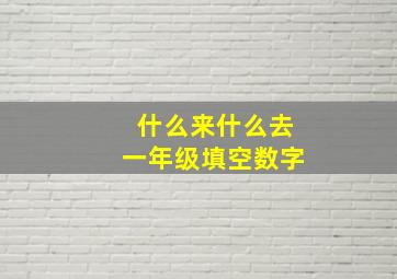 什么来什么去一年级填空数字