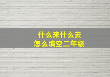 什么来什么去怎么填空二年级