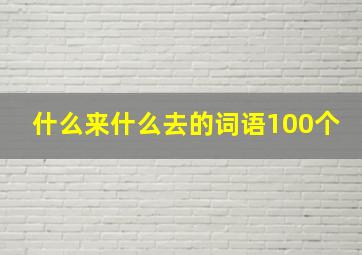 什么来什么去的词语100个