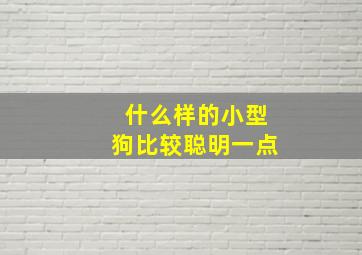 什么样的小型狗比较聪明一点