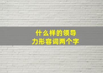 什么样的领导力形容词两个字