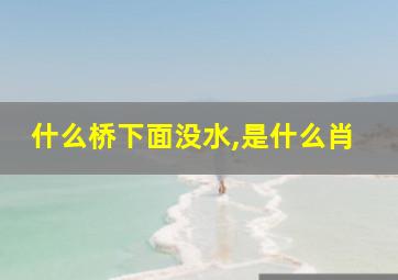 什么桥下面没水,是什么肖