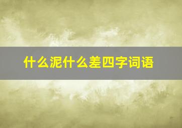 什么泥什么差四字词语