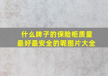 什么牌子的保险柜质量最好最安全的呢图片大全