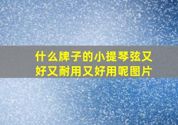 什么牌子的小提琴弦又好又耐用又好用呢图片