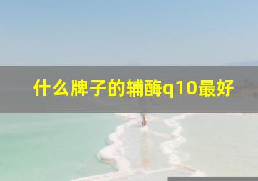 什么牌子的辅酶q10最好