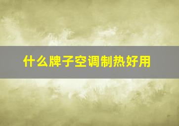 什么牌子空调制热好用