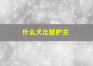 什么犬比较护主