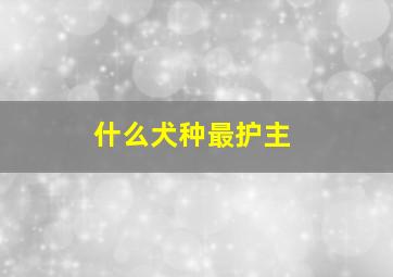 什么犬种最护主