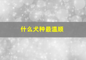 什么犬种最温顺