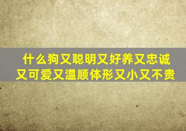 什么狗又聪明又好养又忠诚又可爱又温顺体形又小又不贵